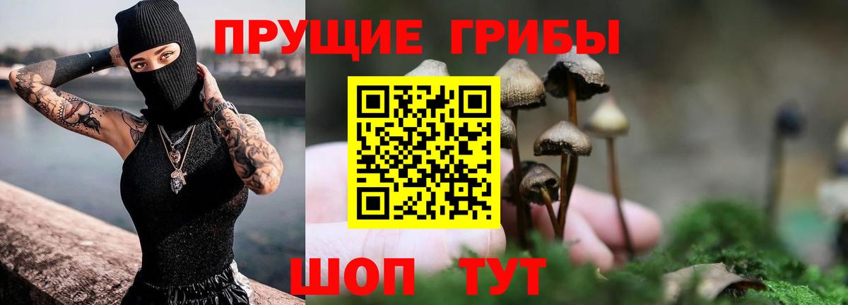 Галлюциногенные грибы Magic Shrooms Полевской